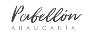 Logo pabellon-01